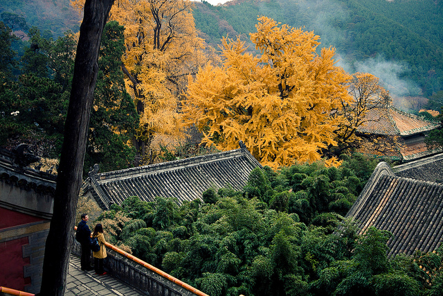 6318280820_f9c6995c36_z